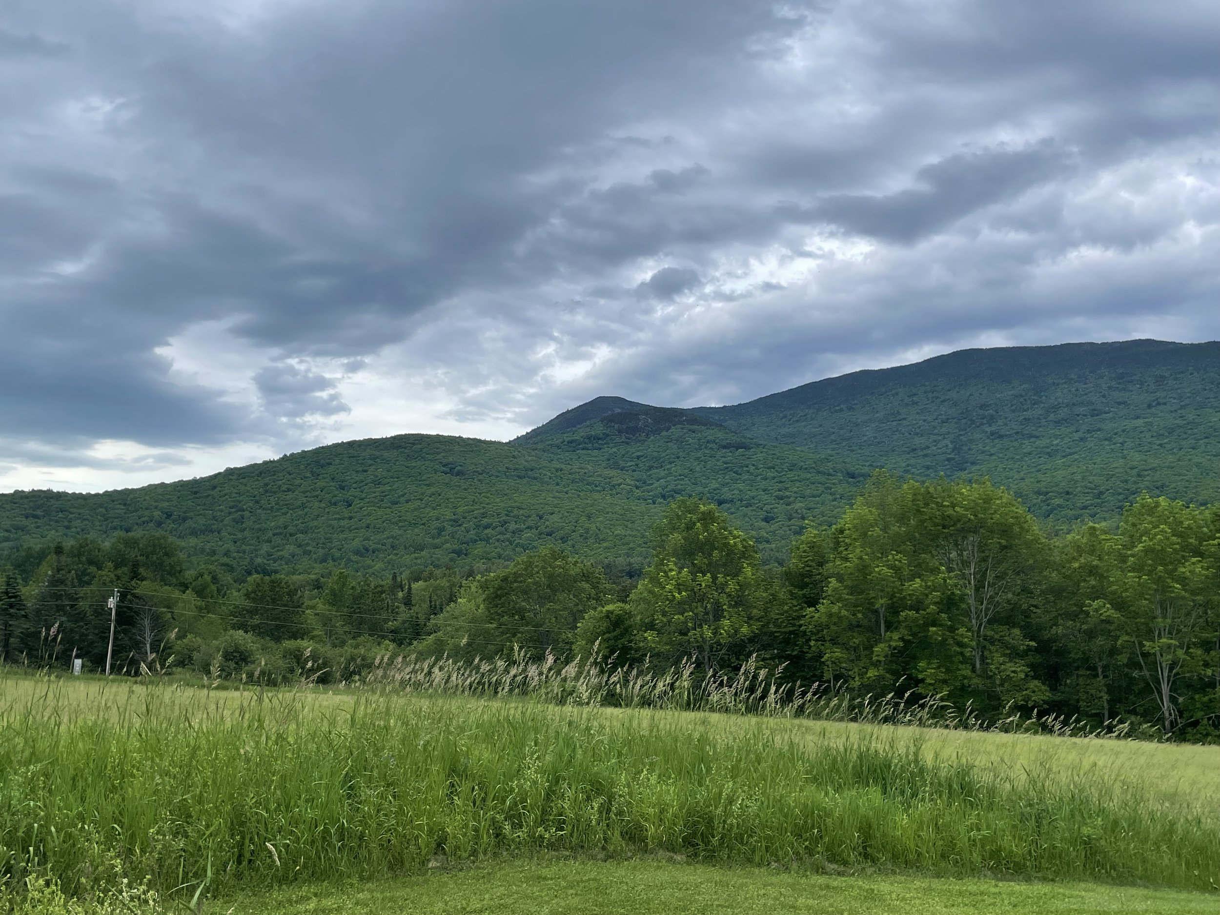 View of green forested mountains under a cloudy sky.