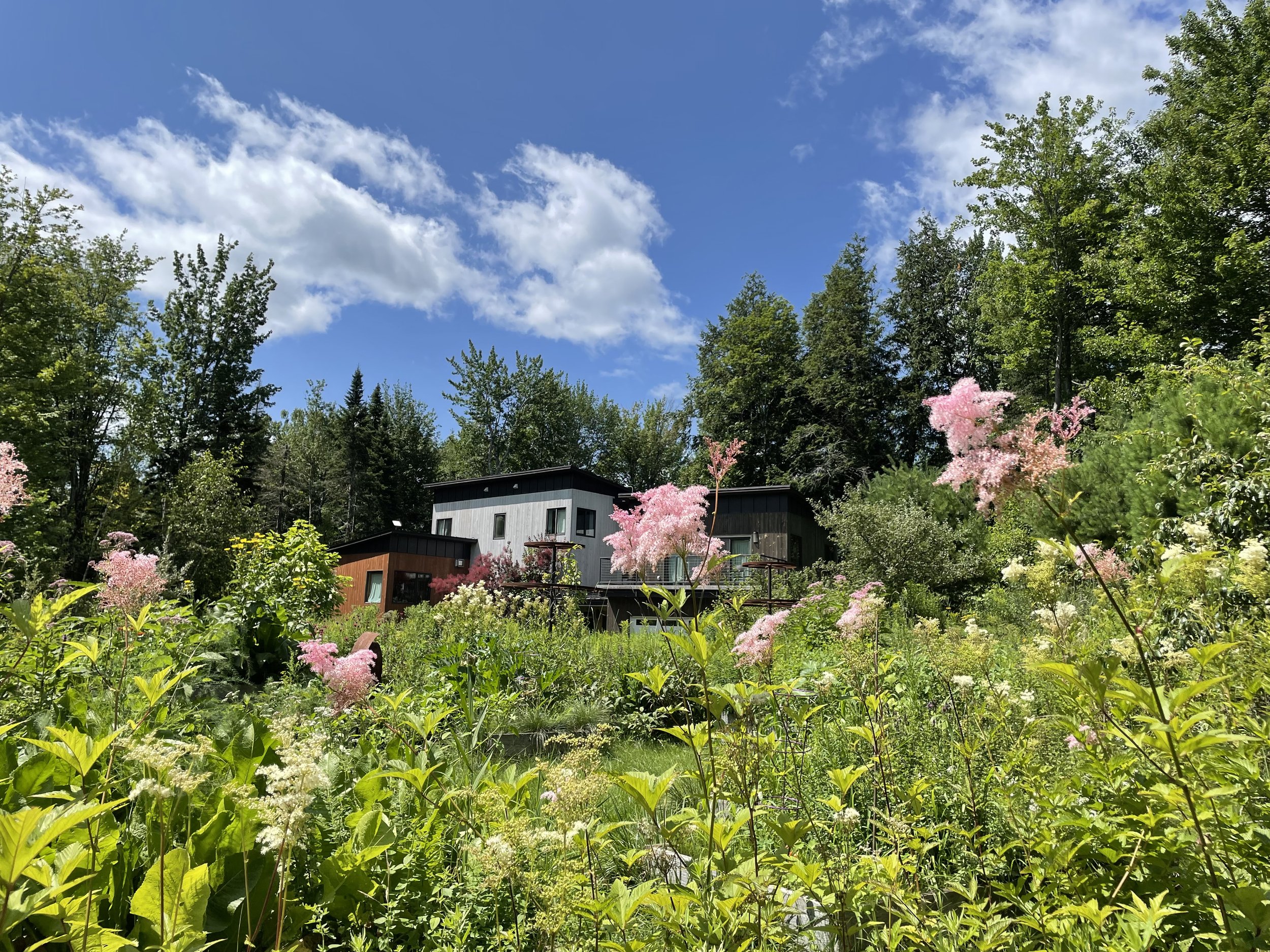 A garden with pink flowering bushes and various green trees, buildings with modern architecture, and a partly cloudy blue sky.