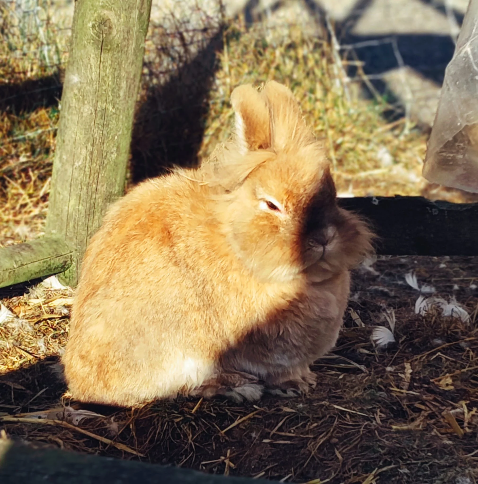 WhatsApp Image 2026sdfgs-02-08 at 16.54.57.jpeg