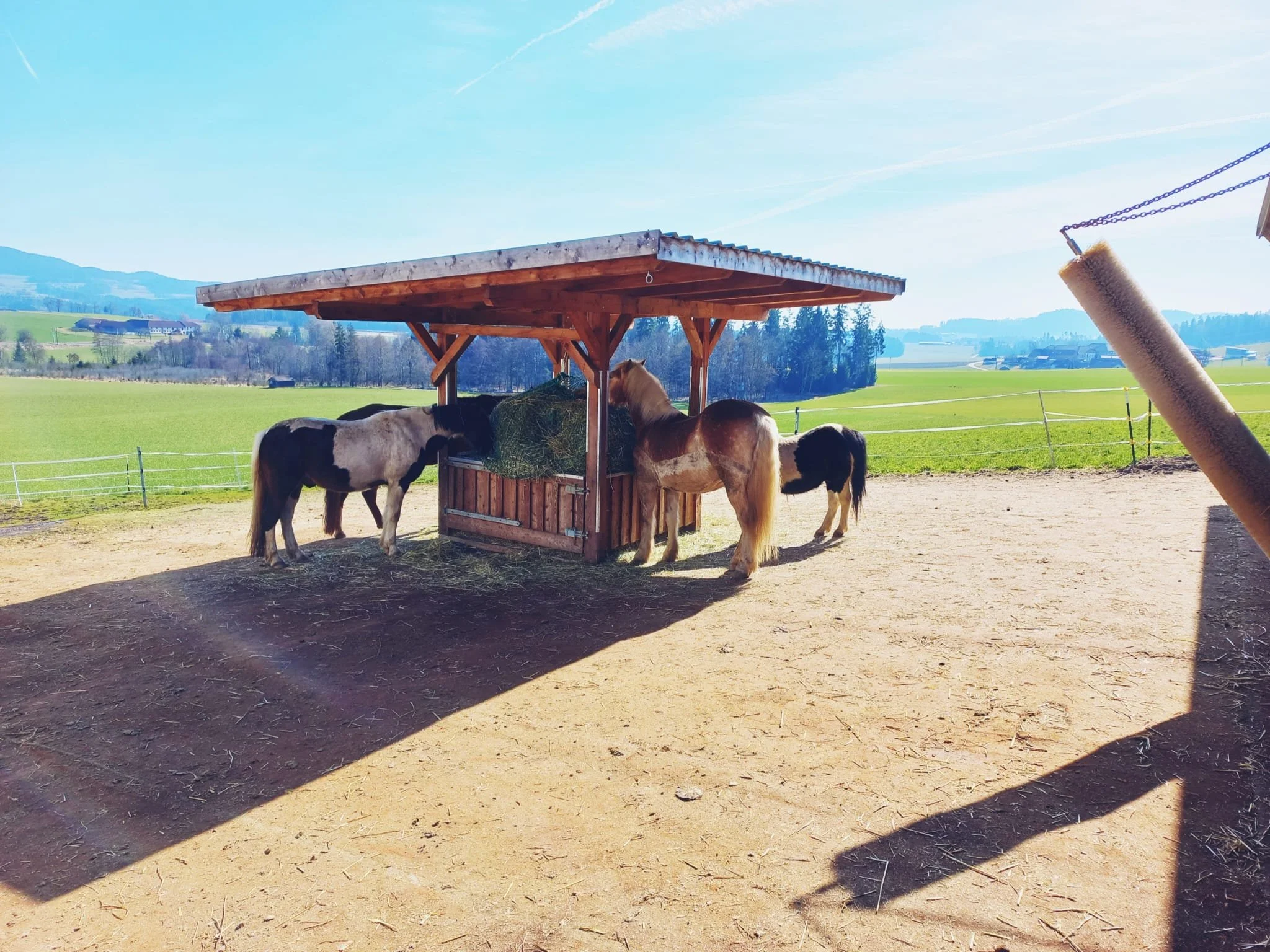 WhatsApp Image 2026-02-08 at 16.54.04.jpeg