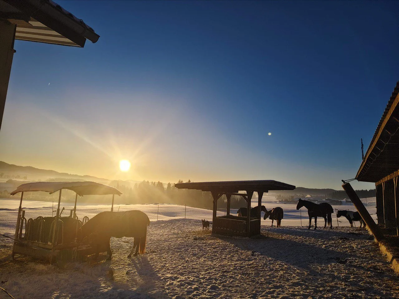 IMAGE 2026-02-16 08:28:55.jpg