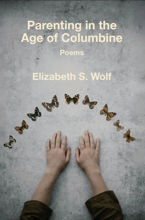 Parenting in the Age of Columbine front cover