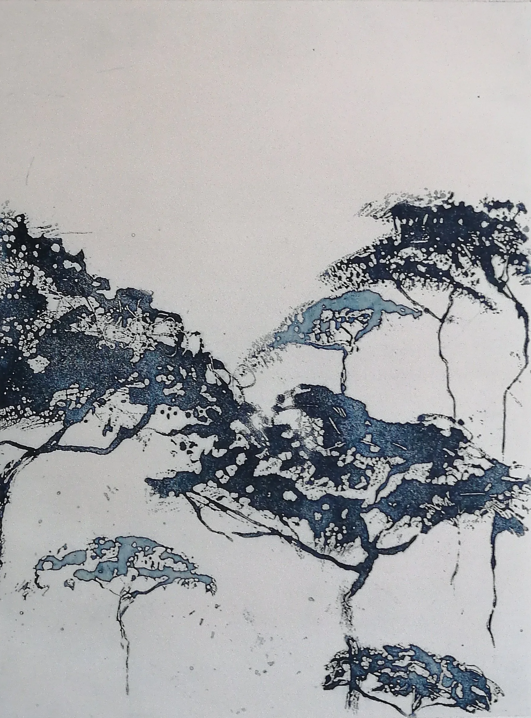  Agnès Vandermarcq, Les grands arbres, série 1, eau forte au sucre et aquatinte, 2020 