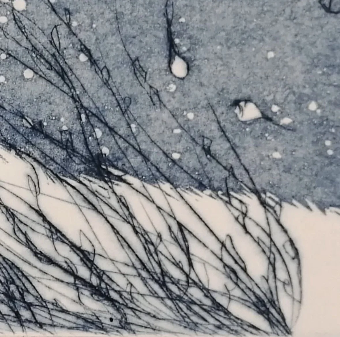  Agnès Vandermarcq, Les abysses 2, gravure (détail), 2022 