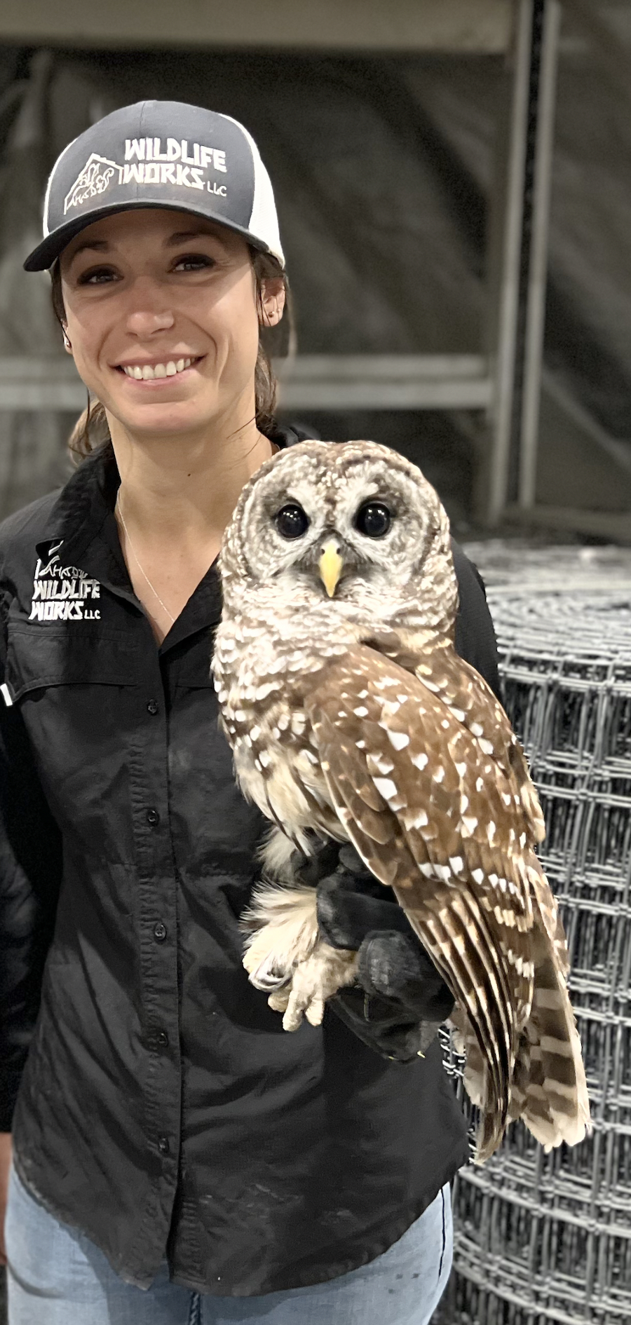 A woman wearing a black shirt and a black and gray cap holding a large owl with brown and white feathers.
