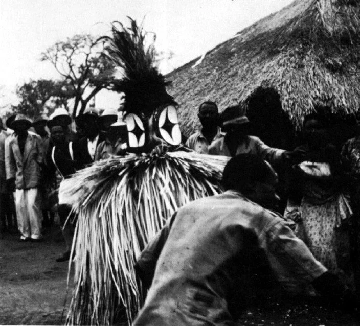 Bembe Field Photo.jpg