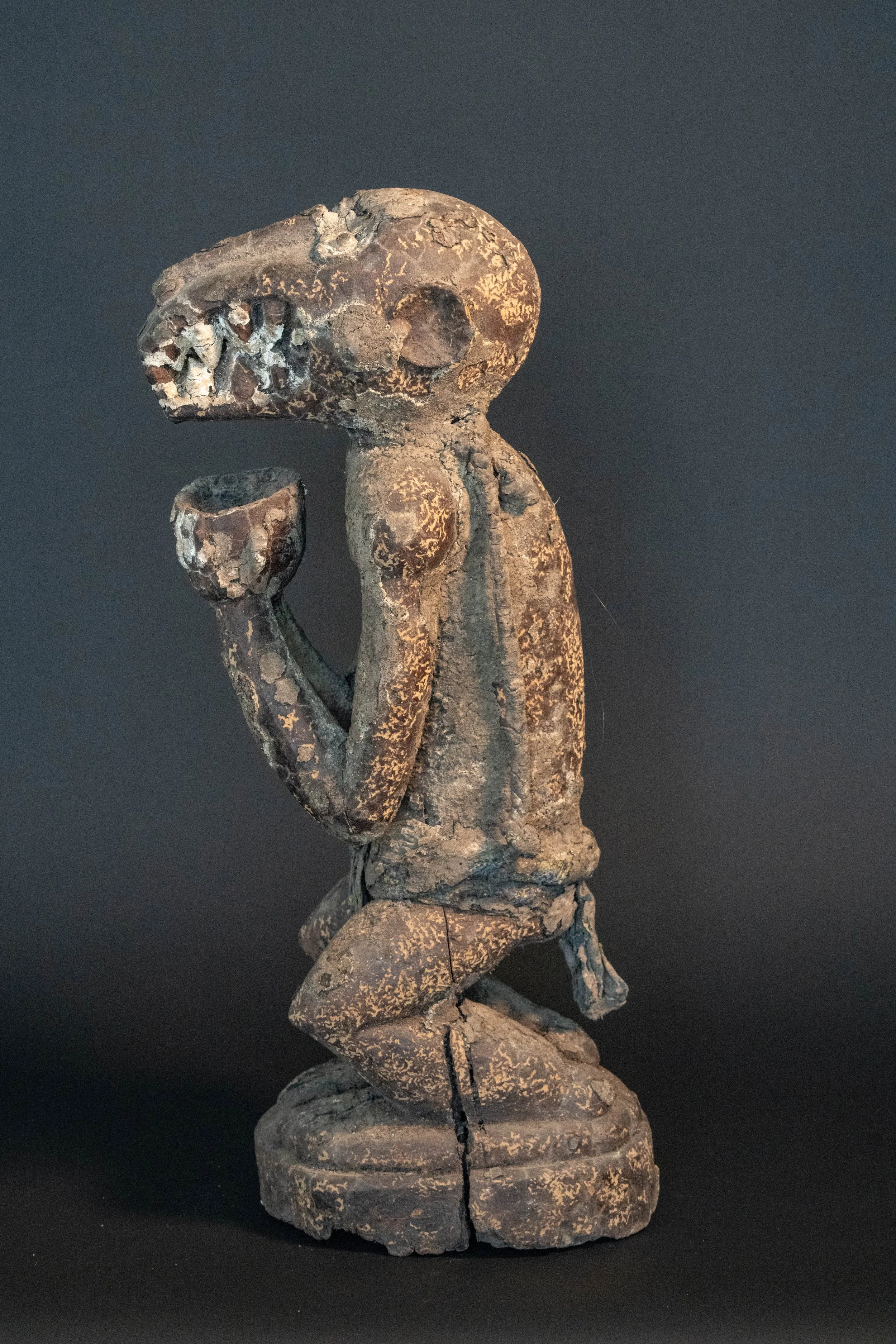 DSC02874.jpg