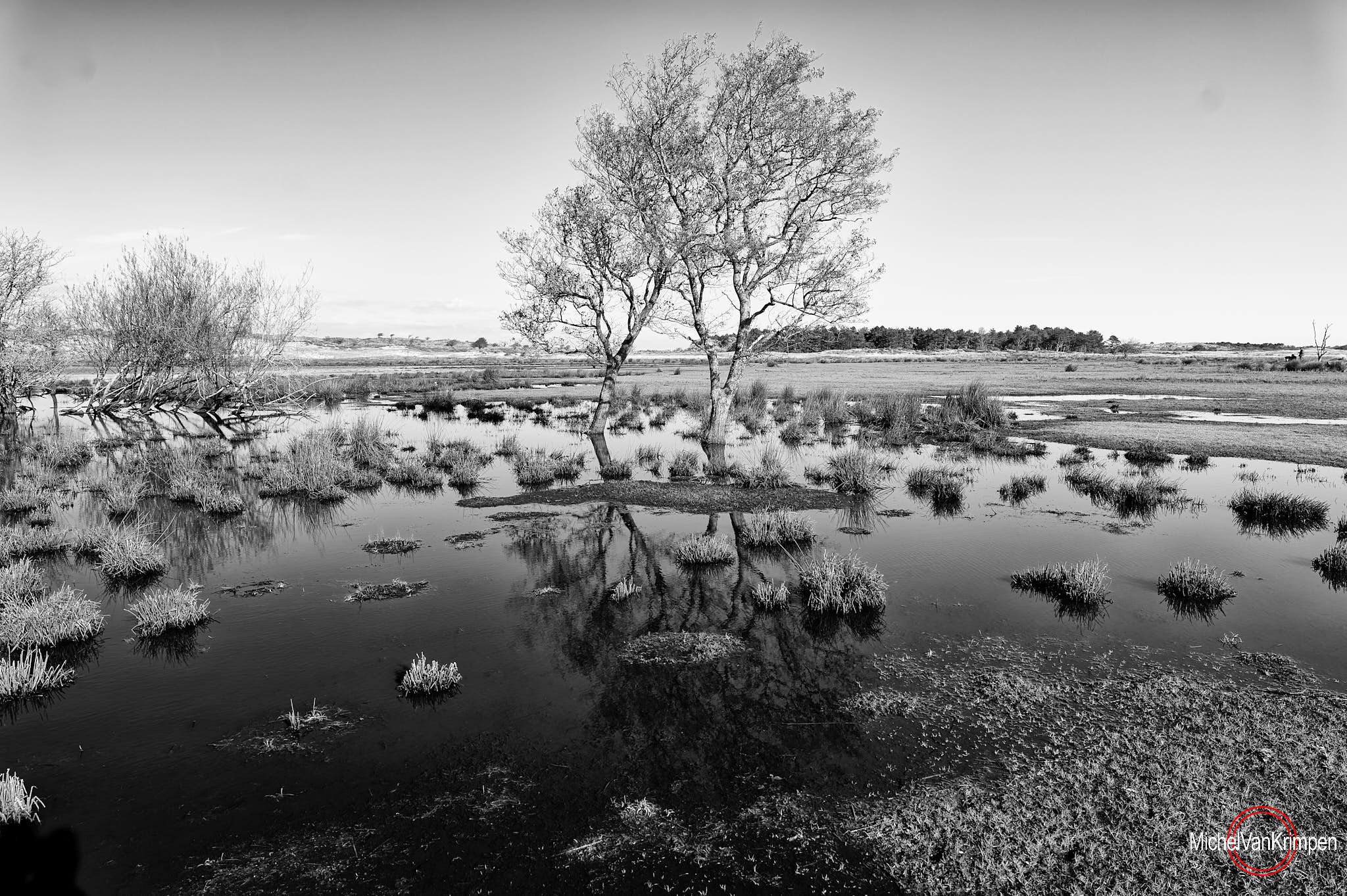 L1000581.jpg