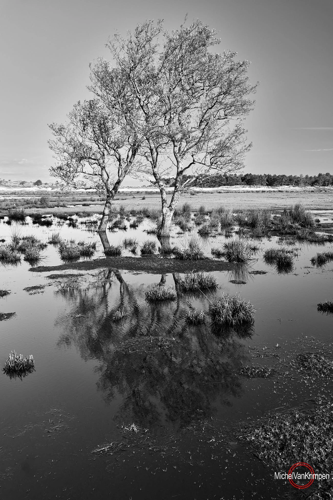 L1000580.jpg