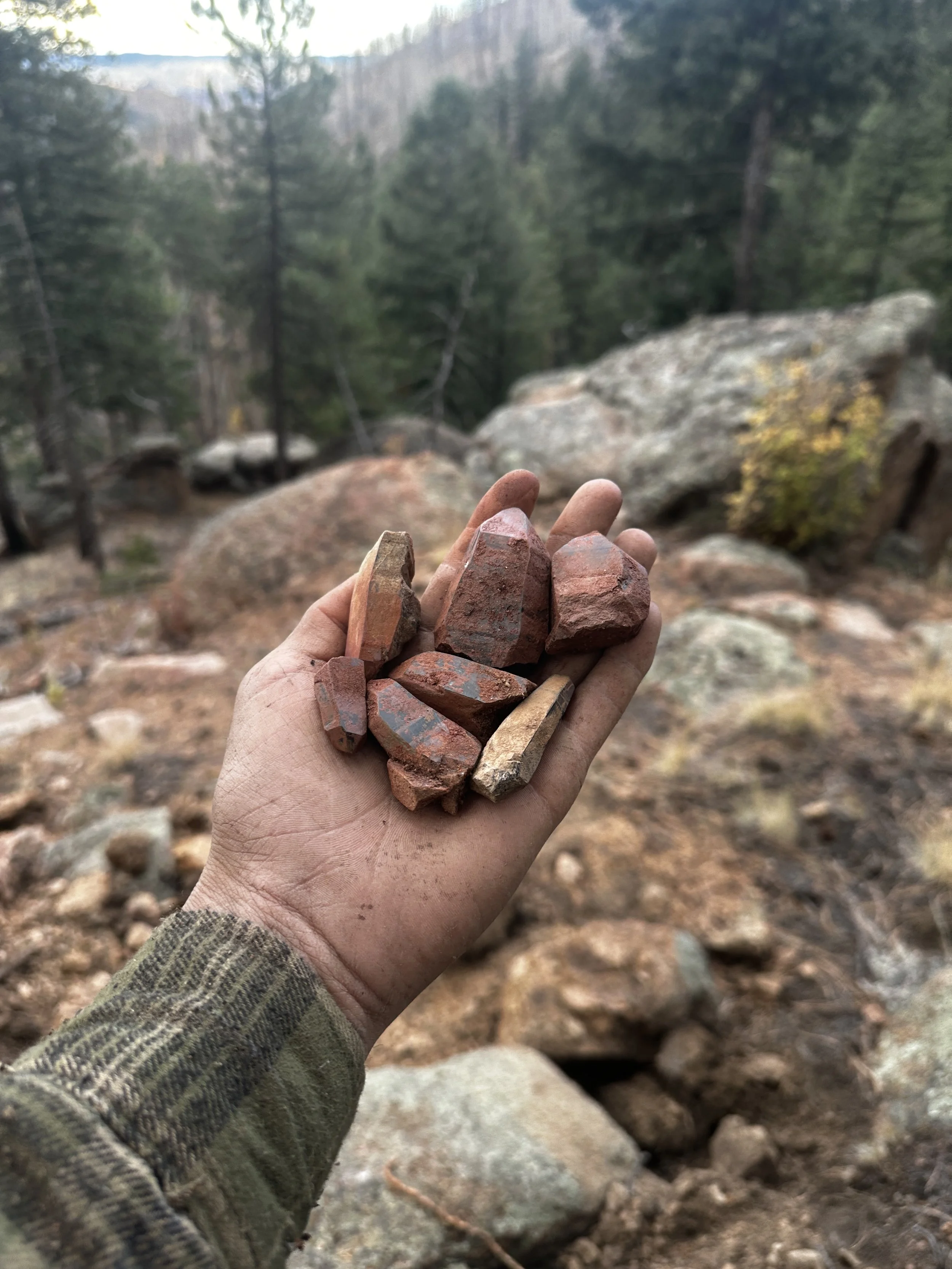 A person's hand holding a collection of red and beige rocks outdoors in a forested area with trees and rocky terrain in the background.