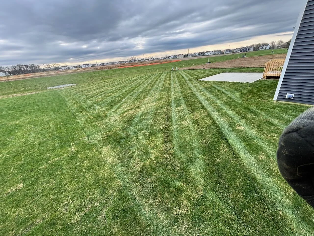 View of a freshly mowed backyard with green grass and striped mowing pattern, next to a house with a dark blue exterior, on a cloudy day.