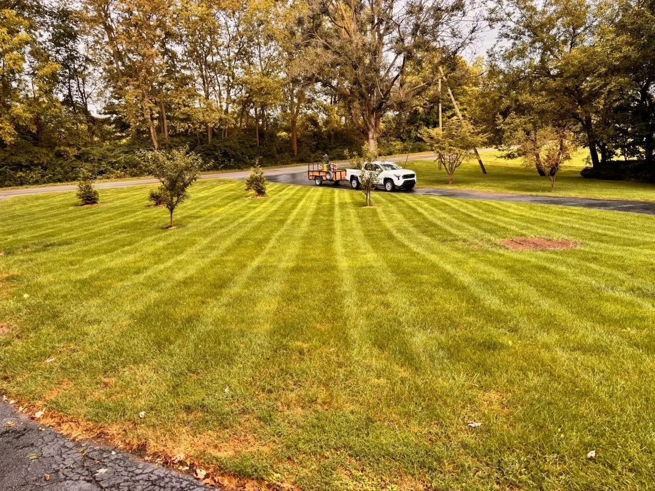 A well-maintained green lawn with small trees, a paved driveway, and a white pickup truck towing a trailer with equipment, surrounded by tall trees in the background.