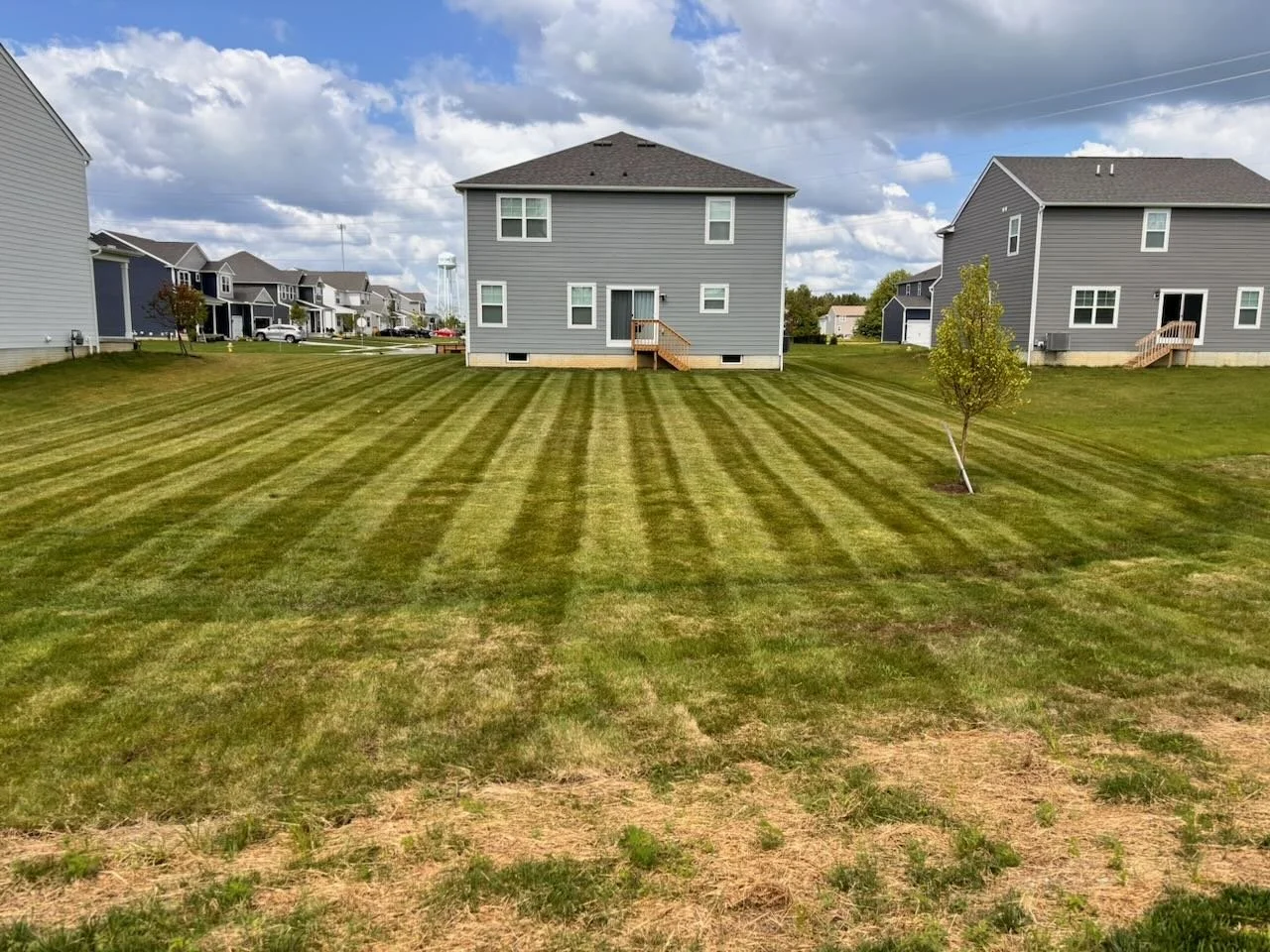 A well-maintained backyard with freshly mowed grass and a small young tree, surrounded by neighboring houses in a suburban neighborhood under a partly cloudy sky.