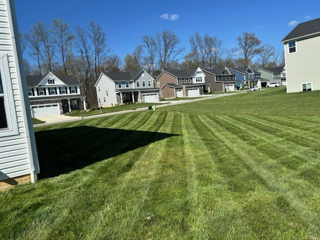 Suburban neighborhood with neatly mowed green grass, various modern houses with attached garages, and a backdrop of leafless trees under a blue sky with some clouds.