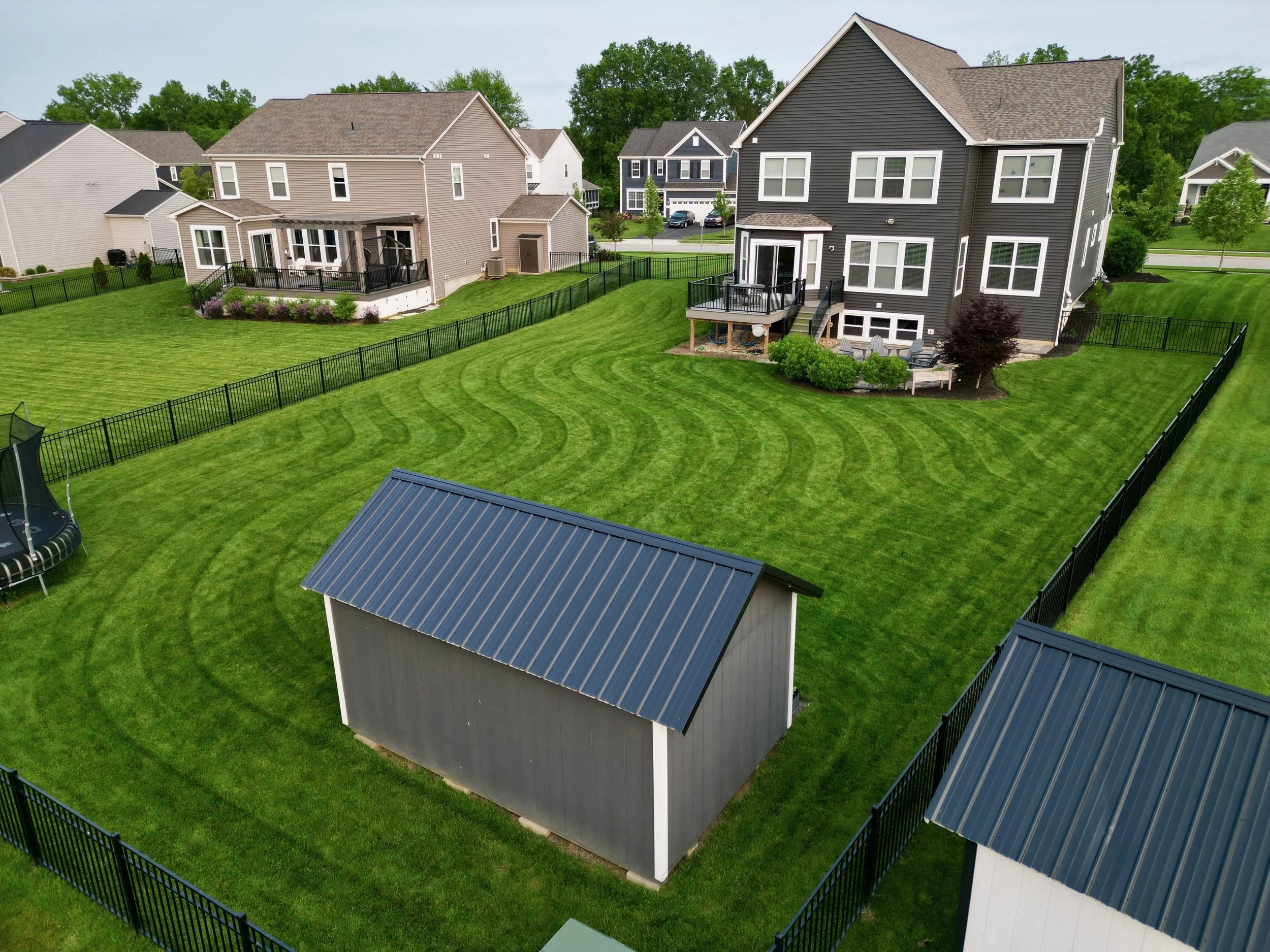 Backyards of several houses with well-maintained lawns, a shed with a metal roof, a trampoline, and a black fence around the yards.