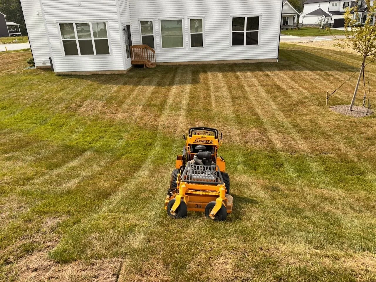 A yellow lawn mower on a grassy backyard with white house and trees, freshly cut grass showing striped pattern.
