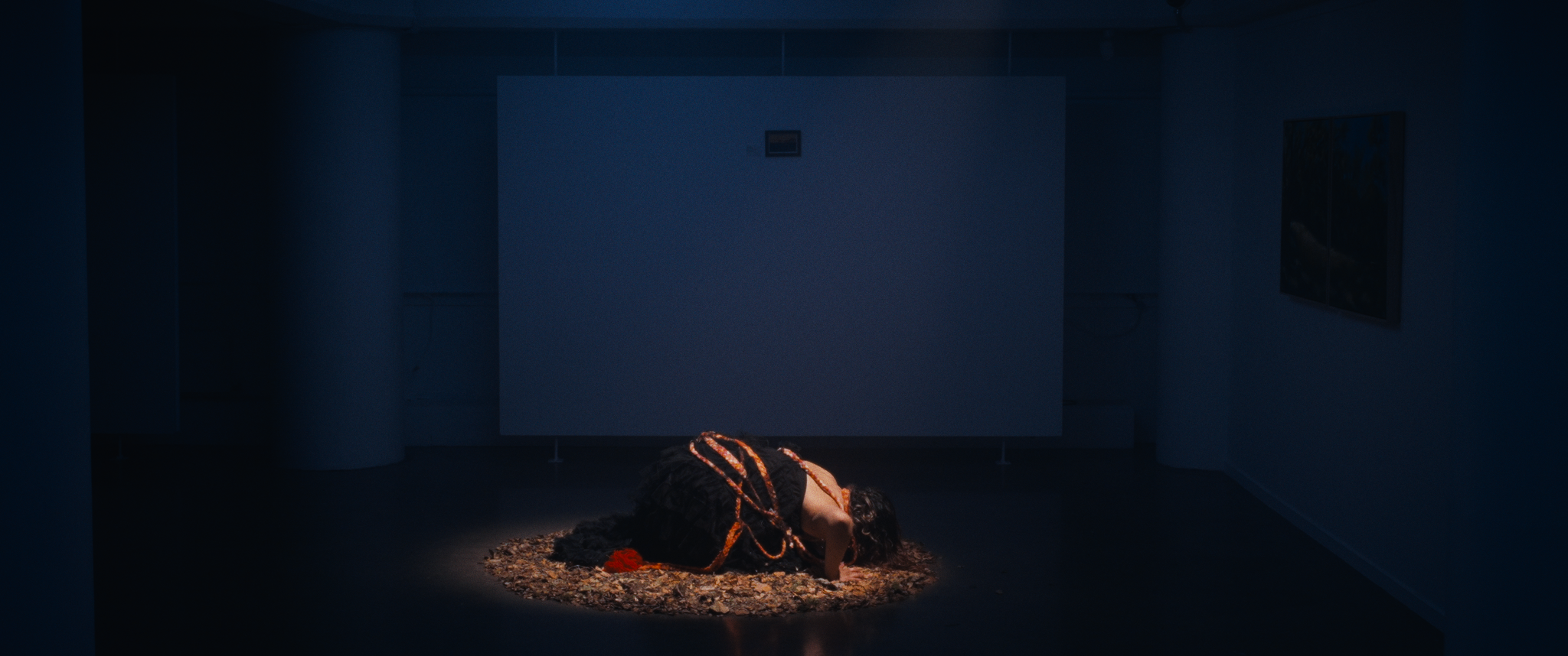 Screenshot 2026-02-10 at 12.02.31 AM_1.81.10.T.png