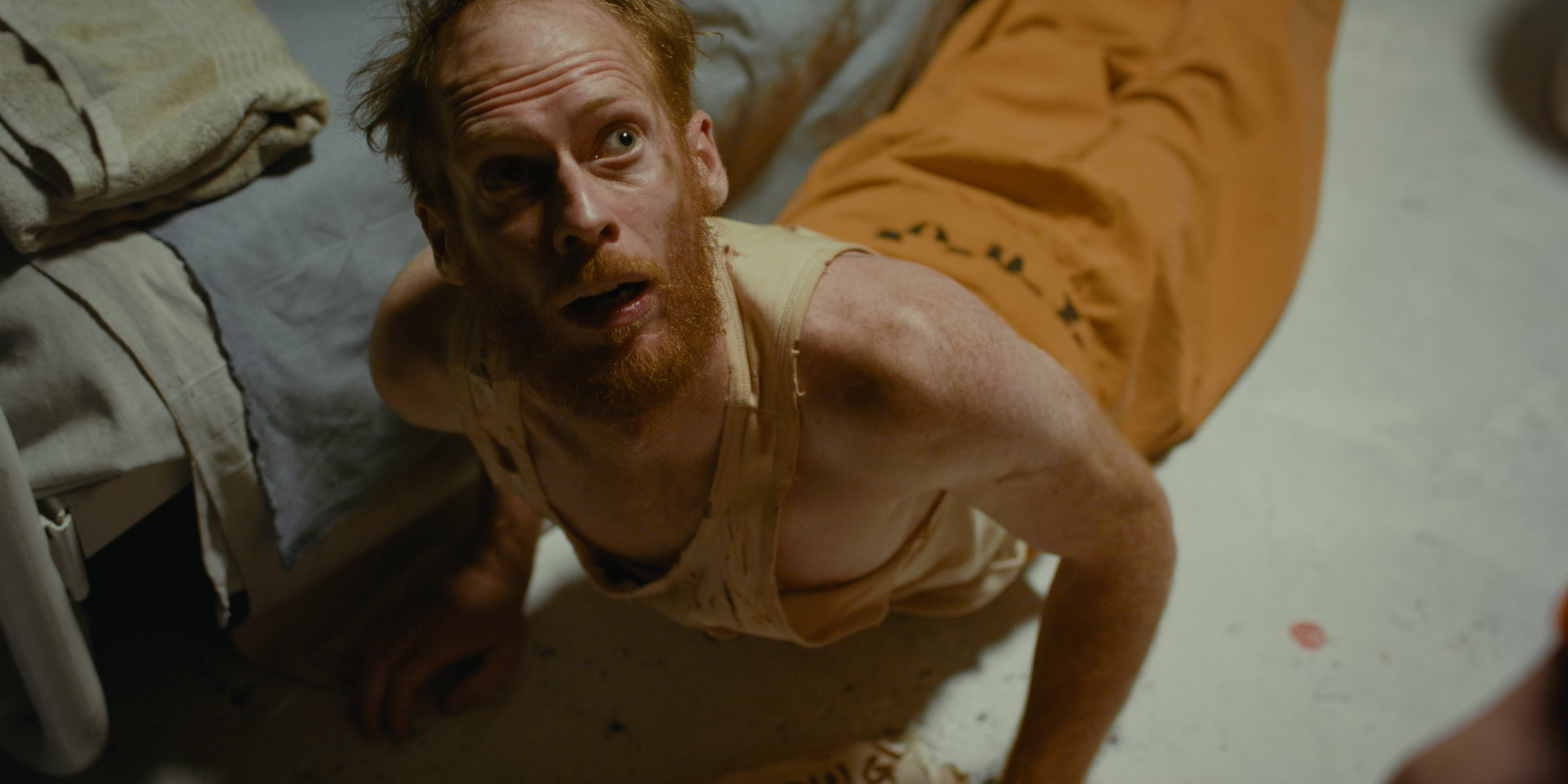 Still 2026-02-19 182255_1.1.53.png