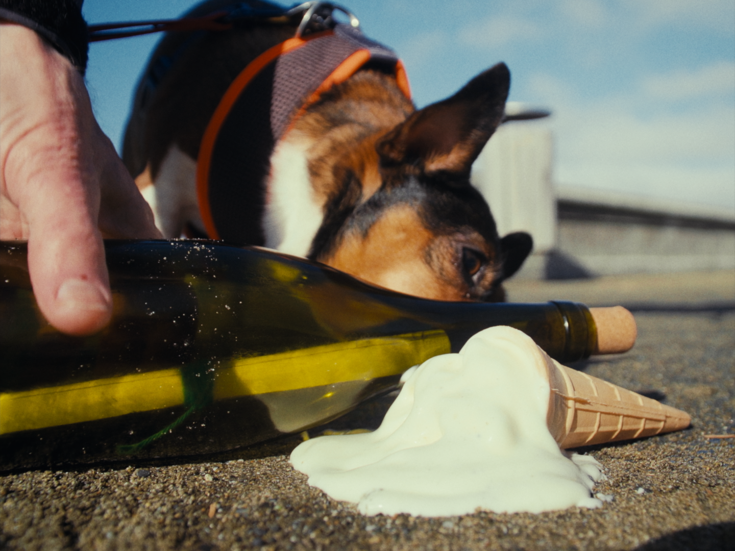 Still 2026-02-19 180641_1.1.22.png