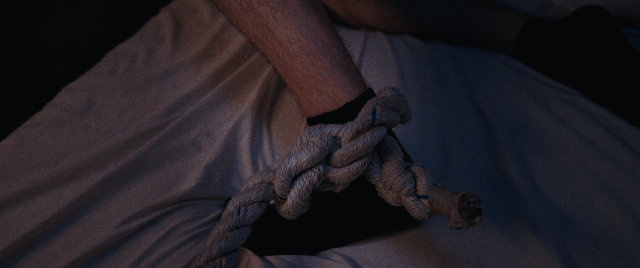 Screenshot 2026-02-10 at 12.02.31 AM_1.123.2.T.png