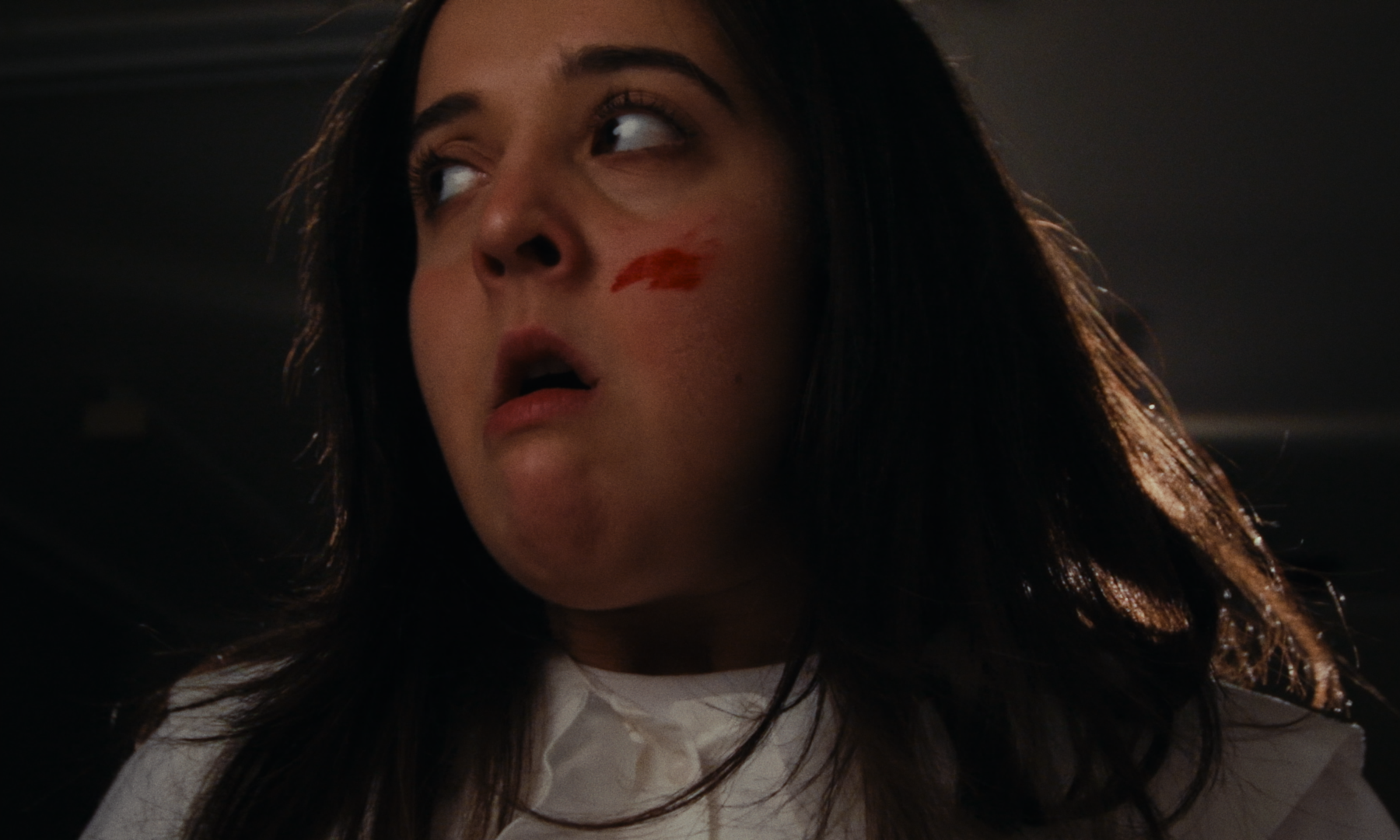 Still 2026-02-19 151408_1.1.43.png