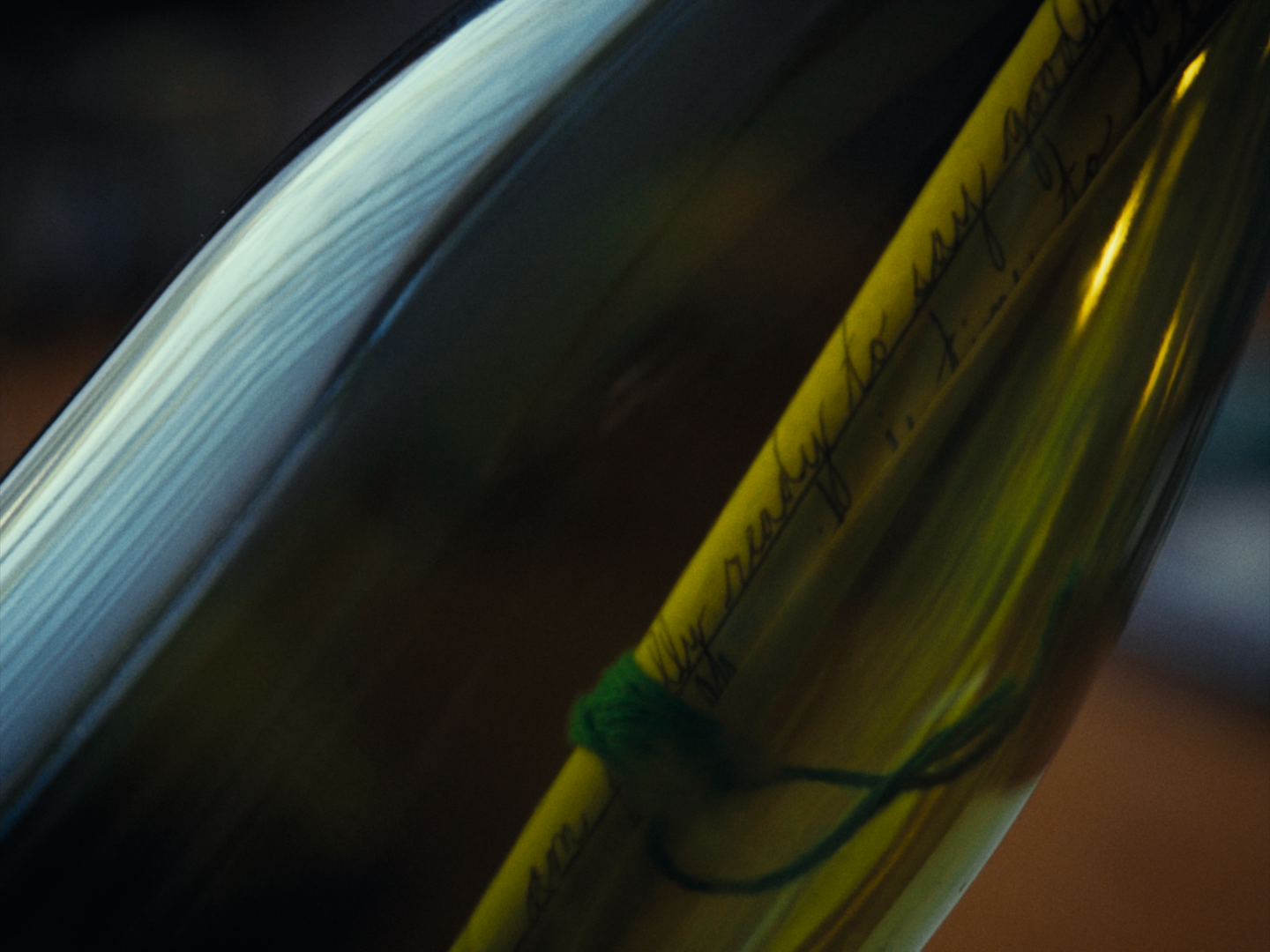 Still 2026-02-19 180641_1.1.4.png