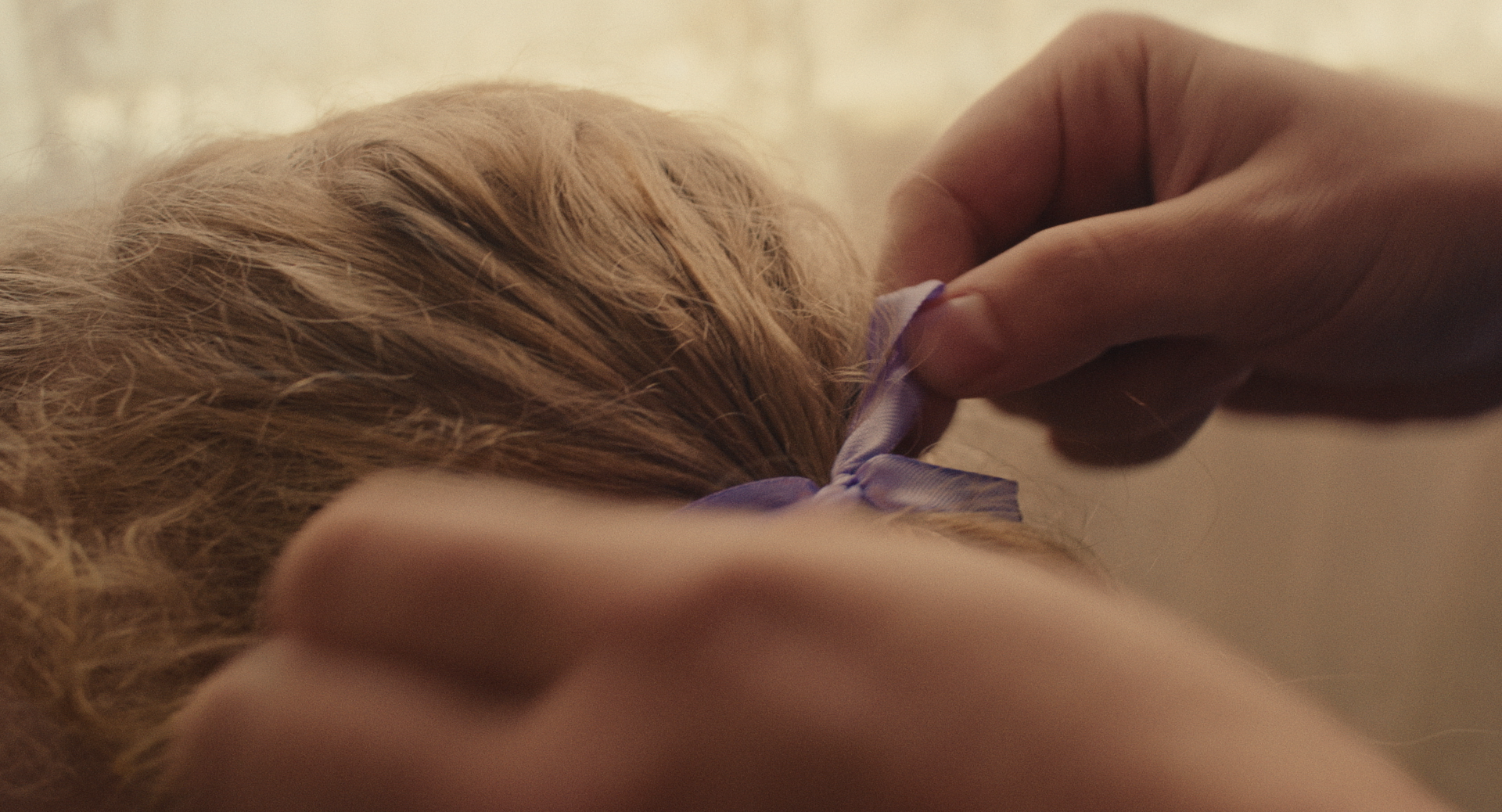 Still 2026-02-11 163755_1.1.18.png