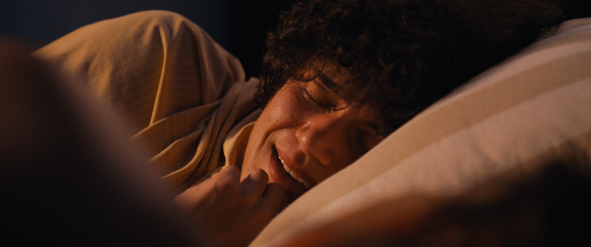 Screenshot 2026-02-10 at 12.02.31 AM_1.184.6.T.png