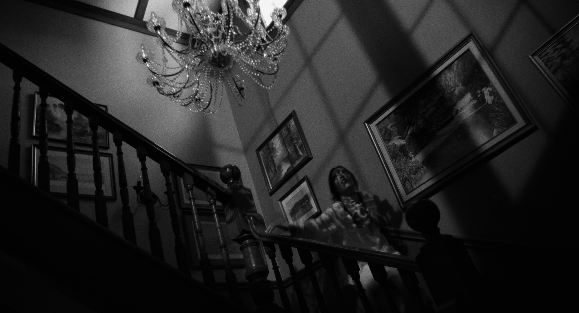 Still 2026-02-20 001221_1.23.1.T.png