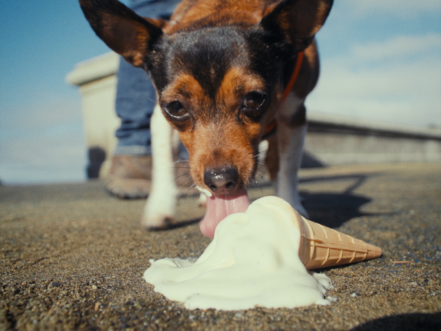 Still 2026-02-19 180641_1.1.24.png