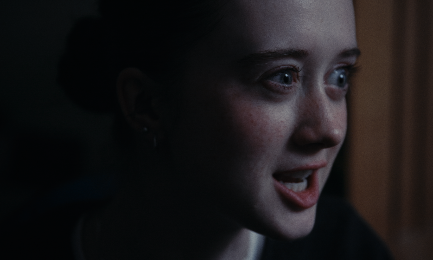 Still 2026-02-19 151408_1.1.36.png