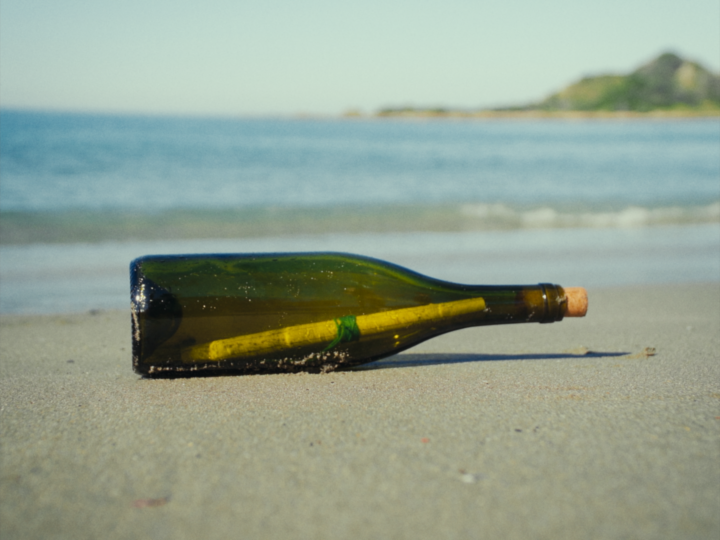 Still 2026-02-19 180641_1.1.16.png