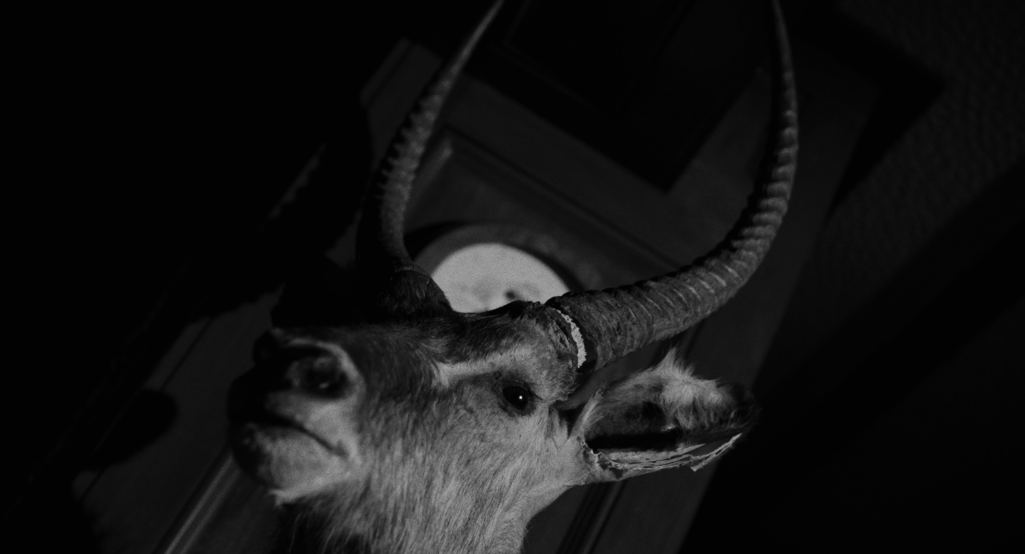 Still 2026-02-20 001221_1.145.1.T.png