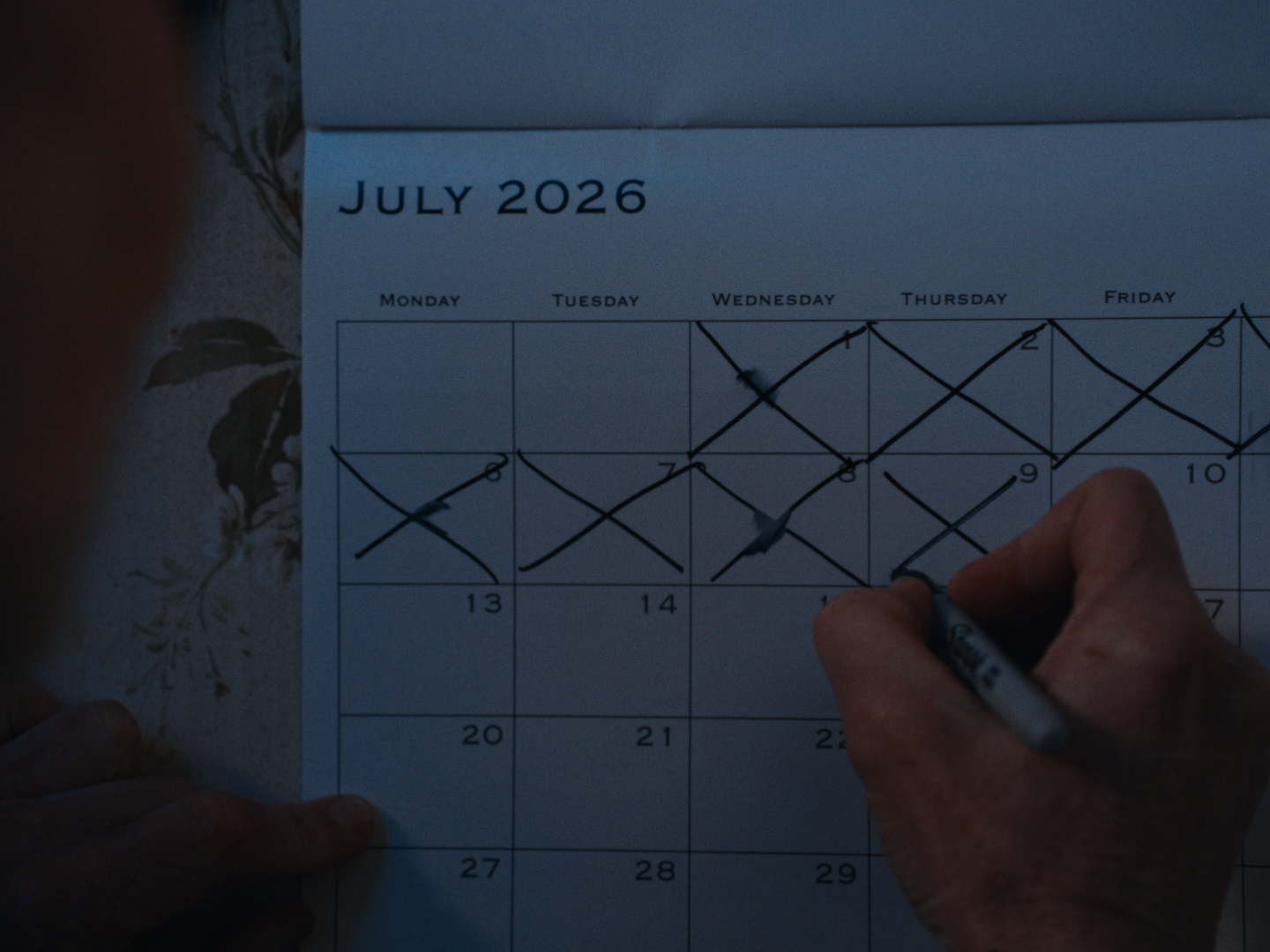 Still 2026-08-13 212325_1.1.79.png