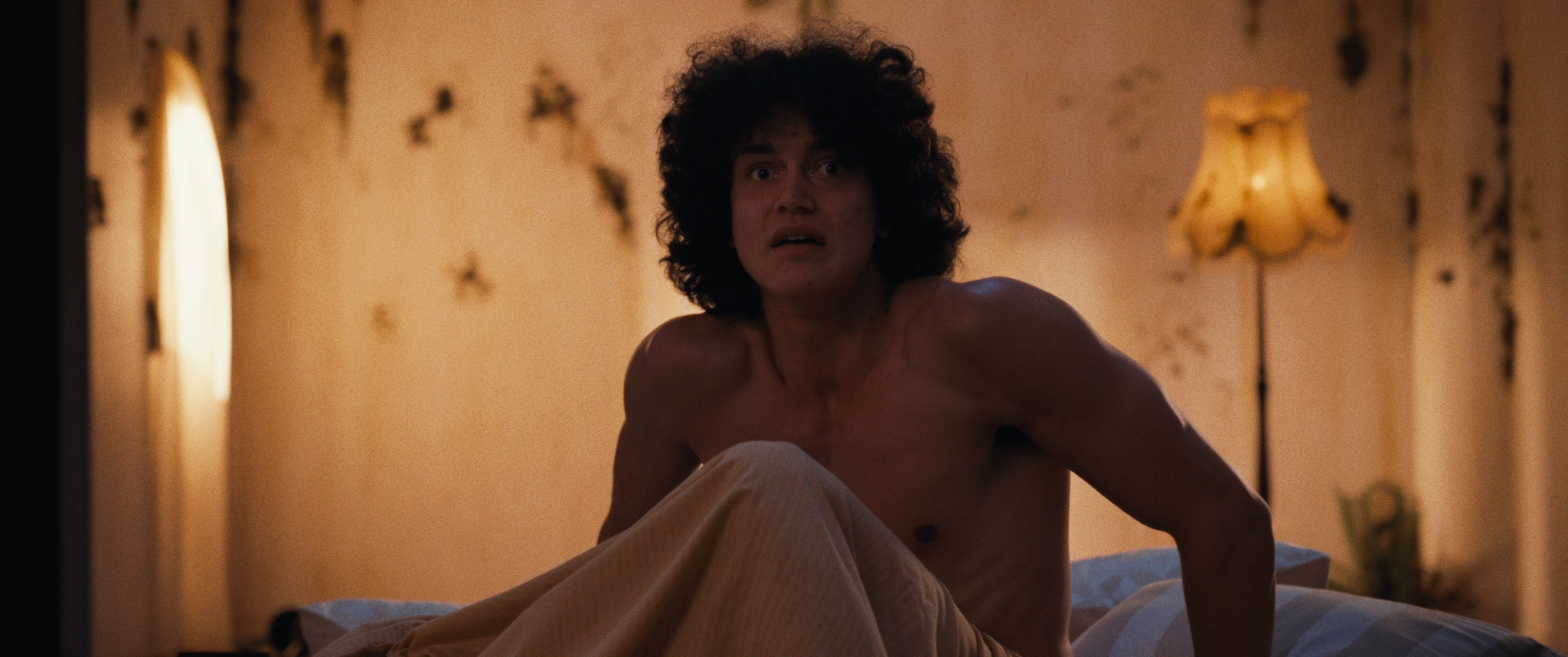 Screenshot 2026-02-10 at 12.02.31 AM_1.132.8.T.png