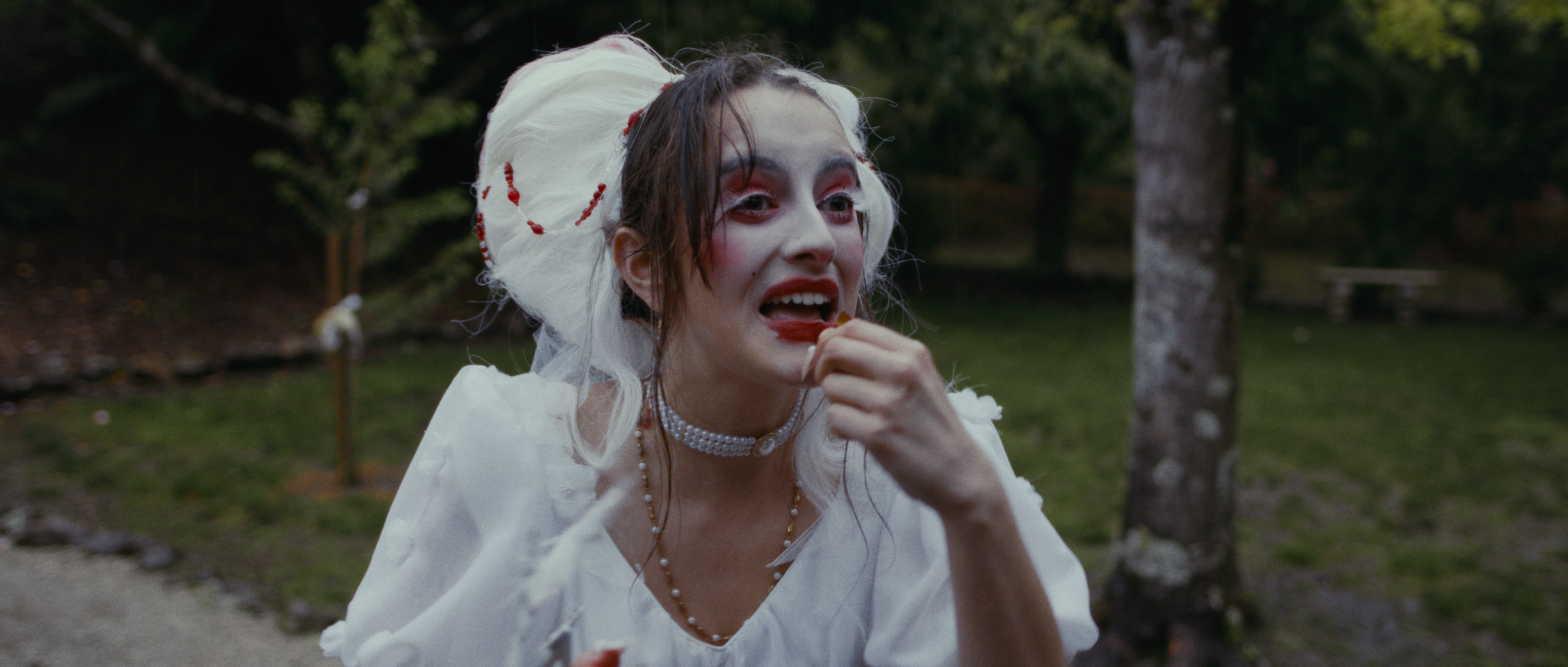 Still 2026-02-10 054911_1.1.63.png