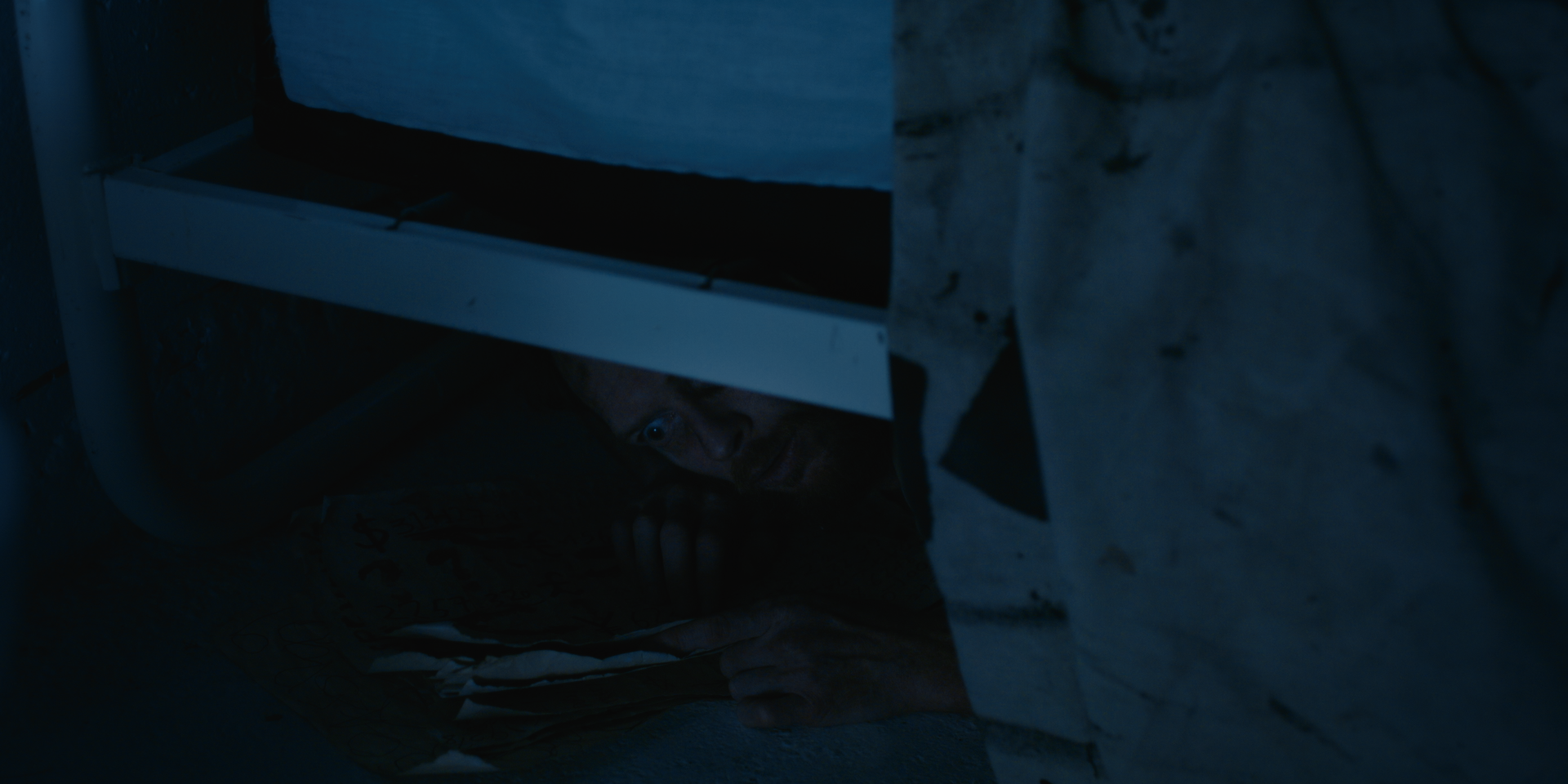 Still 2026-02-19 182255_1.1.37.png