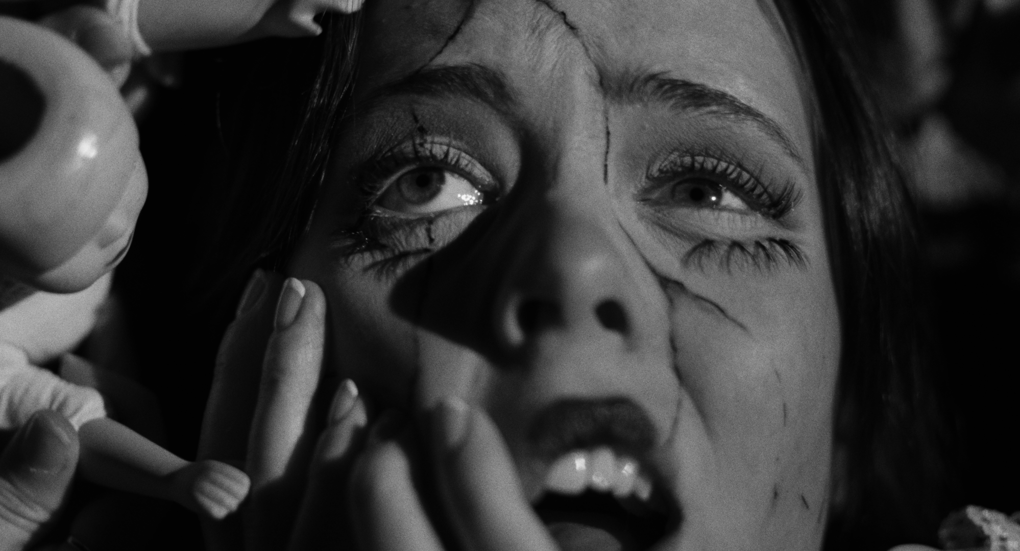 Still 2026-02-20 001221_1.39.1.T.png