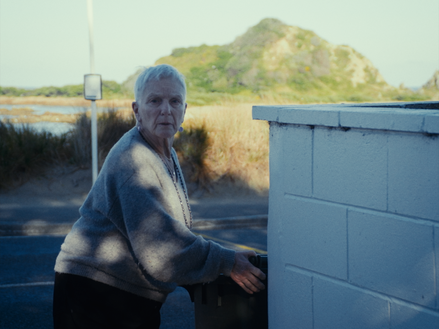 Still 2026-02-19 180641_1.1.45.png