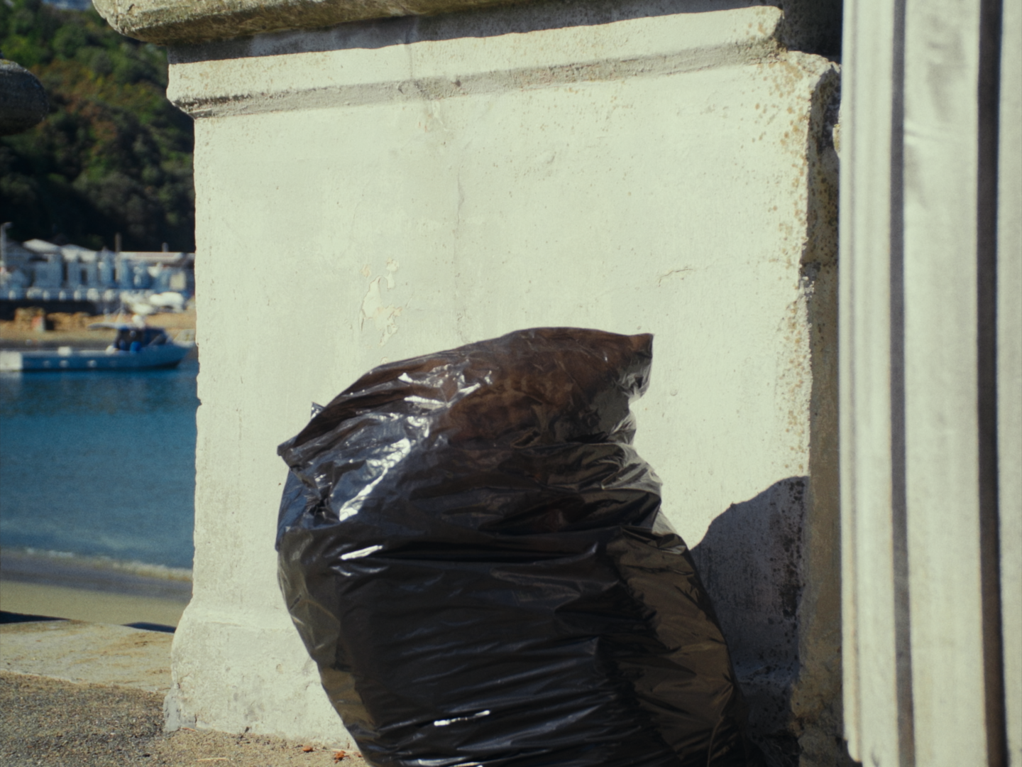 Still 2026-02-19 180641_1.1.20.png