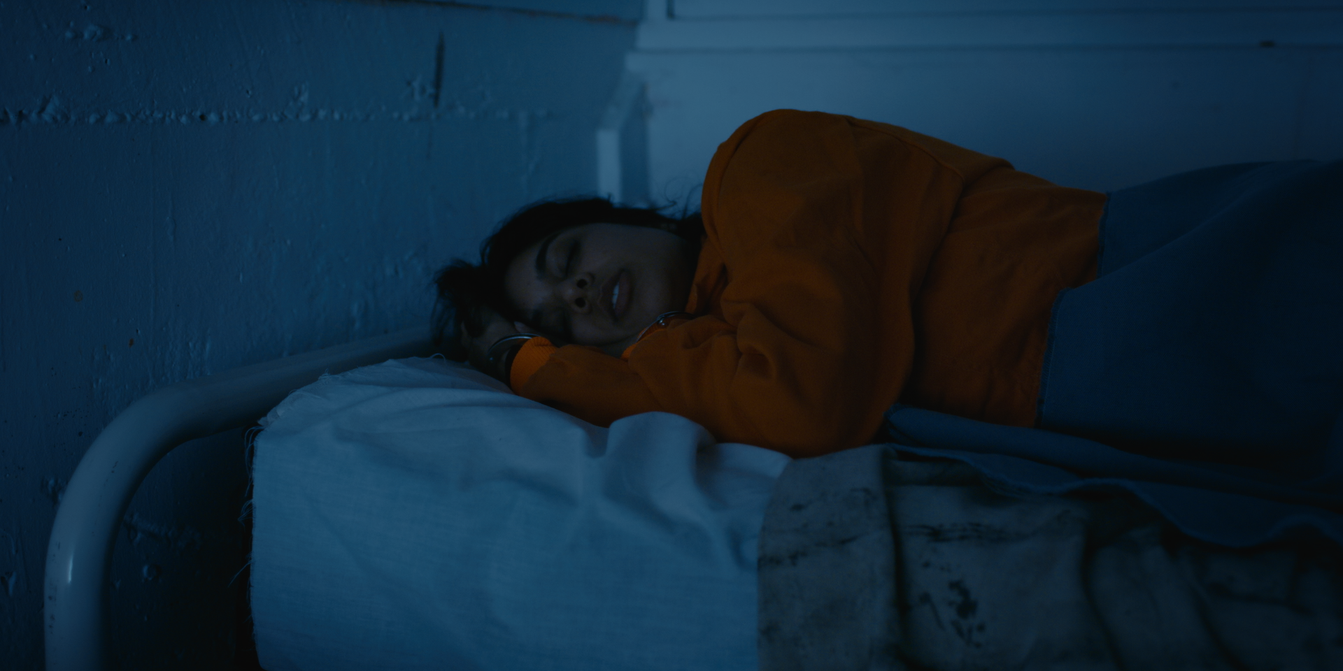 Still 2026-02-19 182255_1.1.36.png