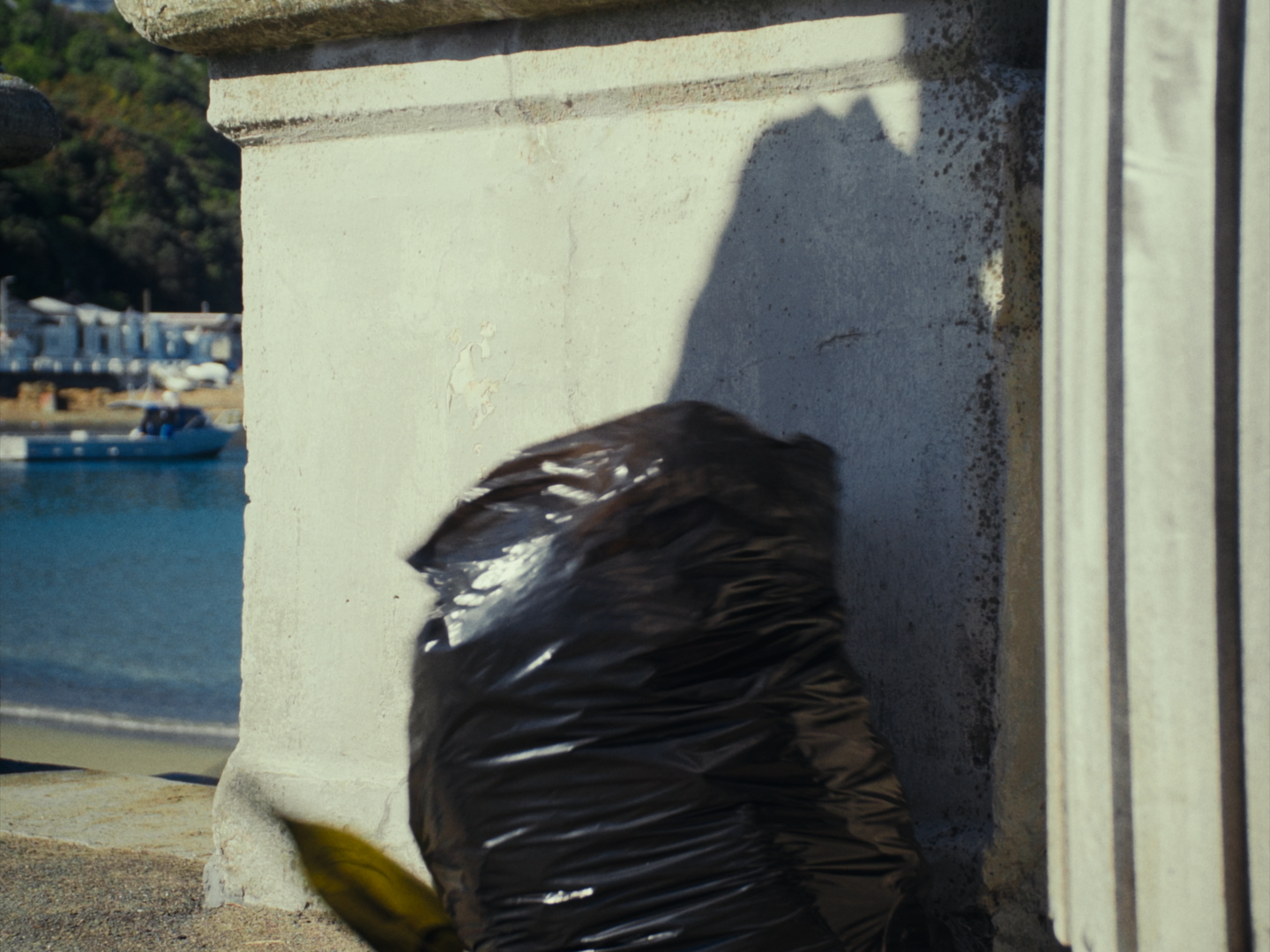 Still 2026-02-19 180641_1.1.19.png