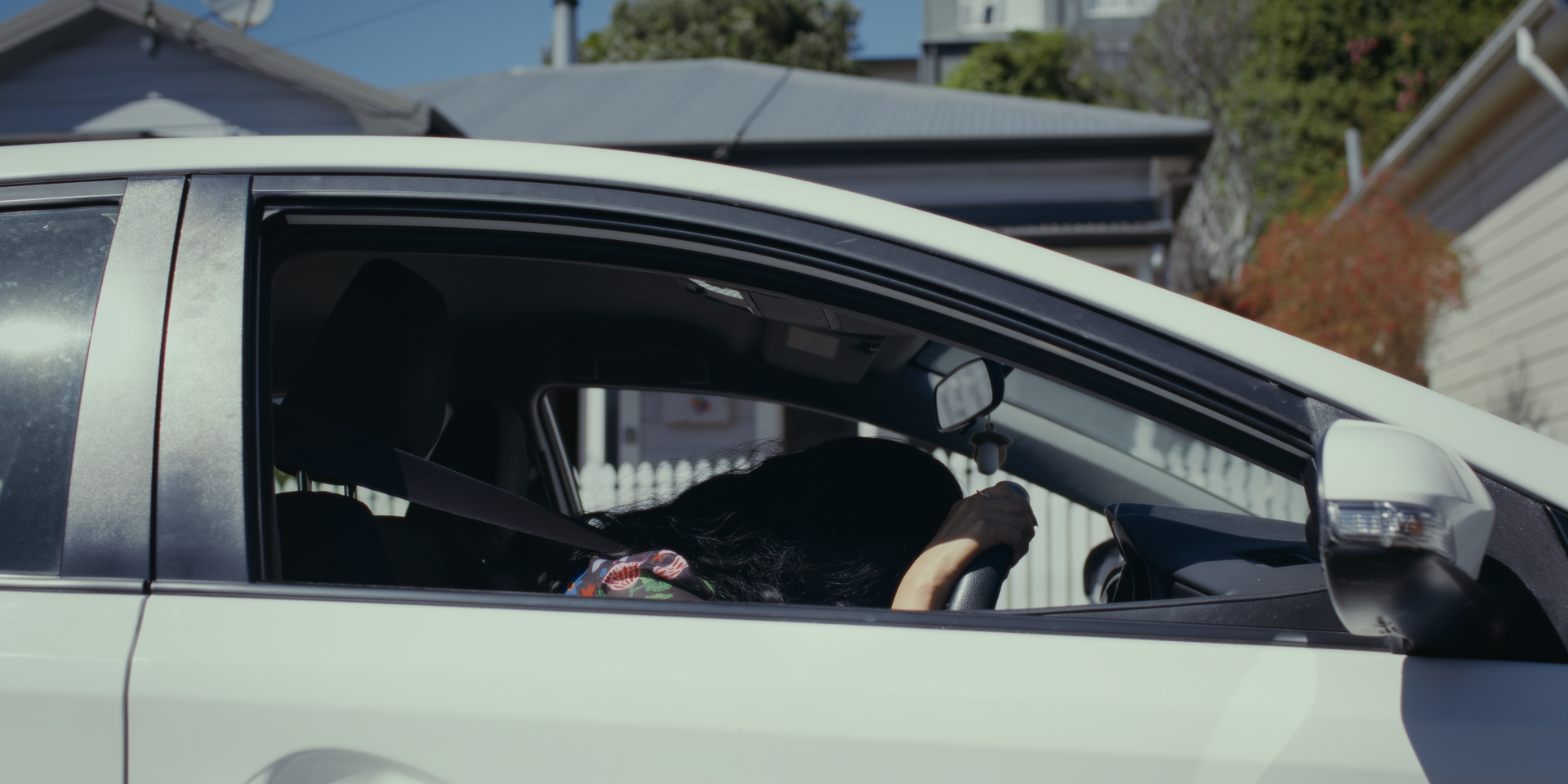 Still 2026-02-19 182255_1.1.12.png