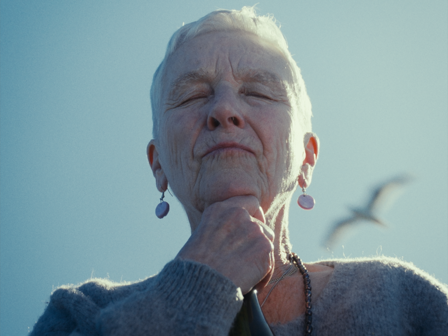 Still 2026-02-19 180641_1.1.10.png