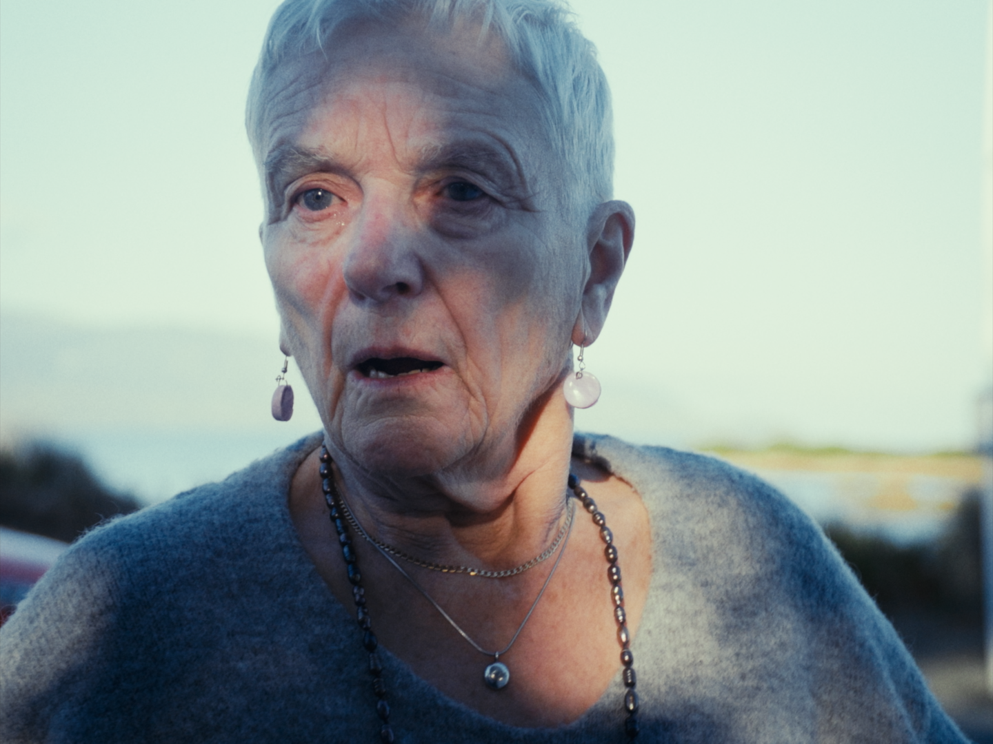 Still 2026-02-19 180641_1.1.51.png