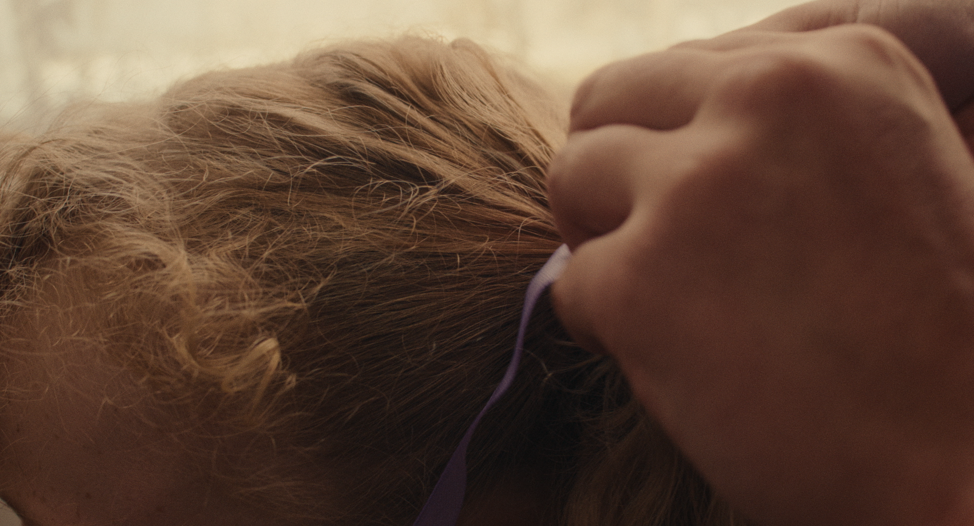 Still 2026-02-11 163755_1.1.17.png