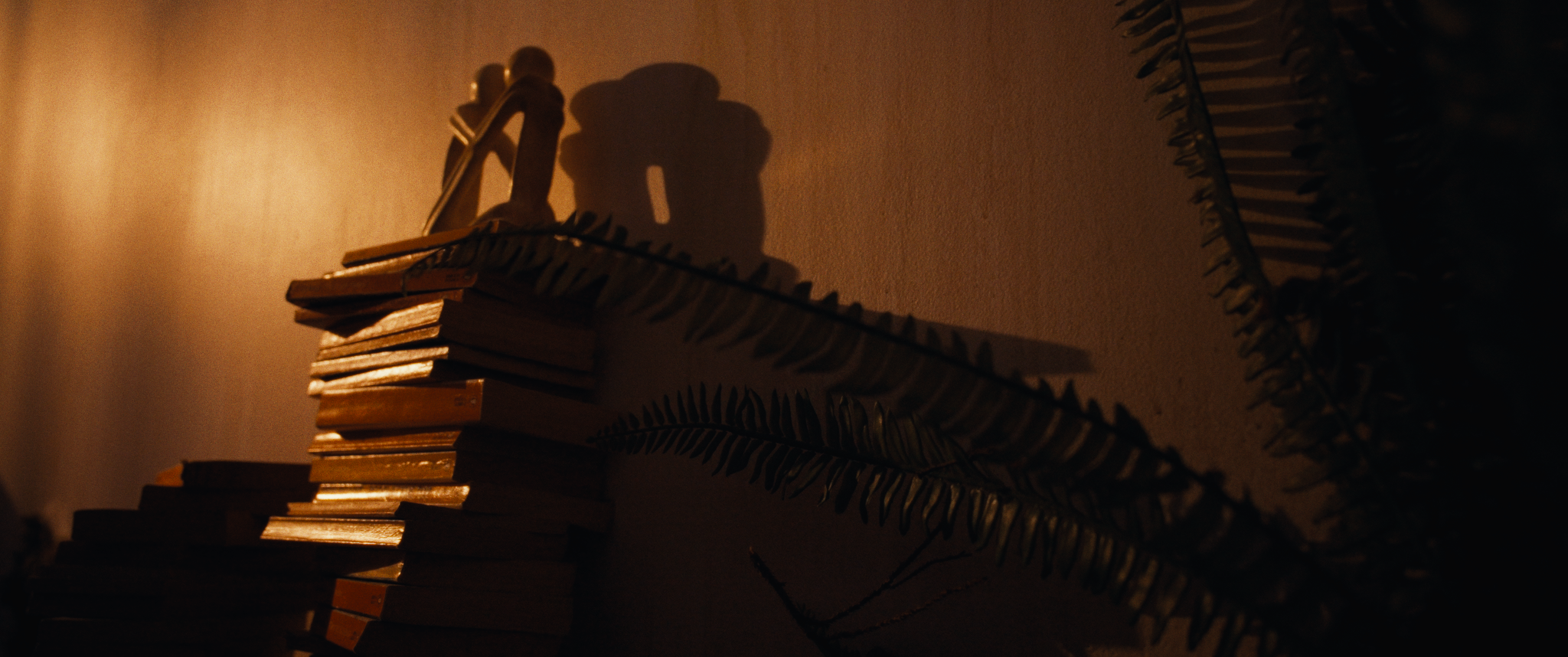 Screenshot 2026-02-10 at 12.02.31 AM_1.160.2.T.png