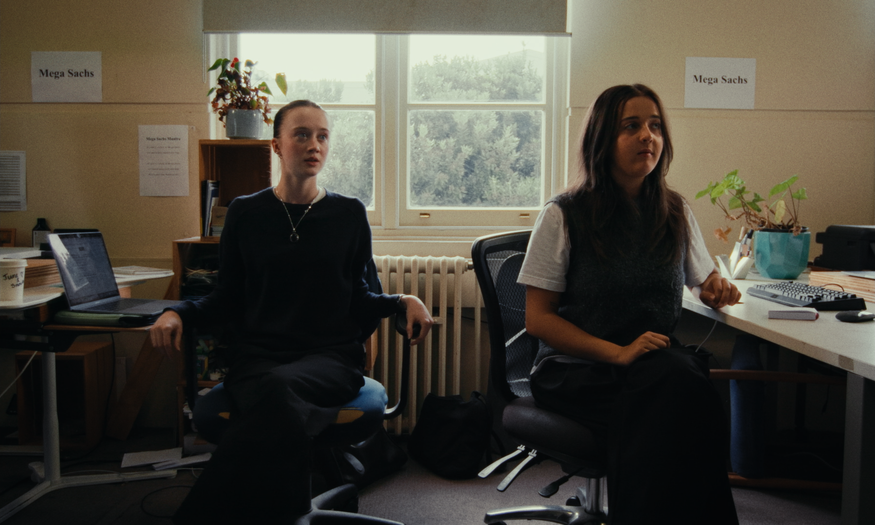 Still 2026-02-19 151408_1.1.6.png