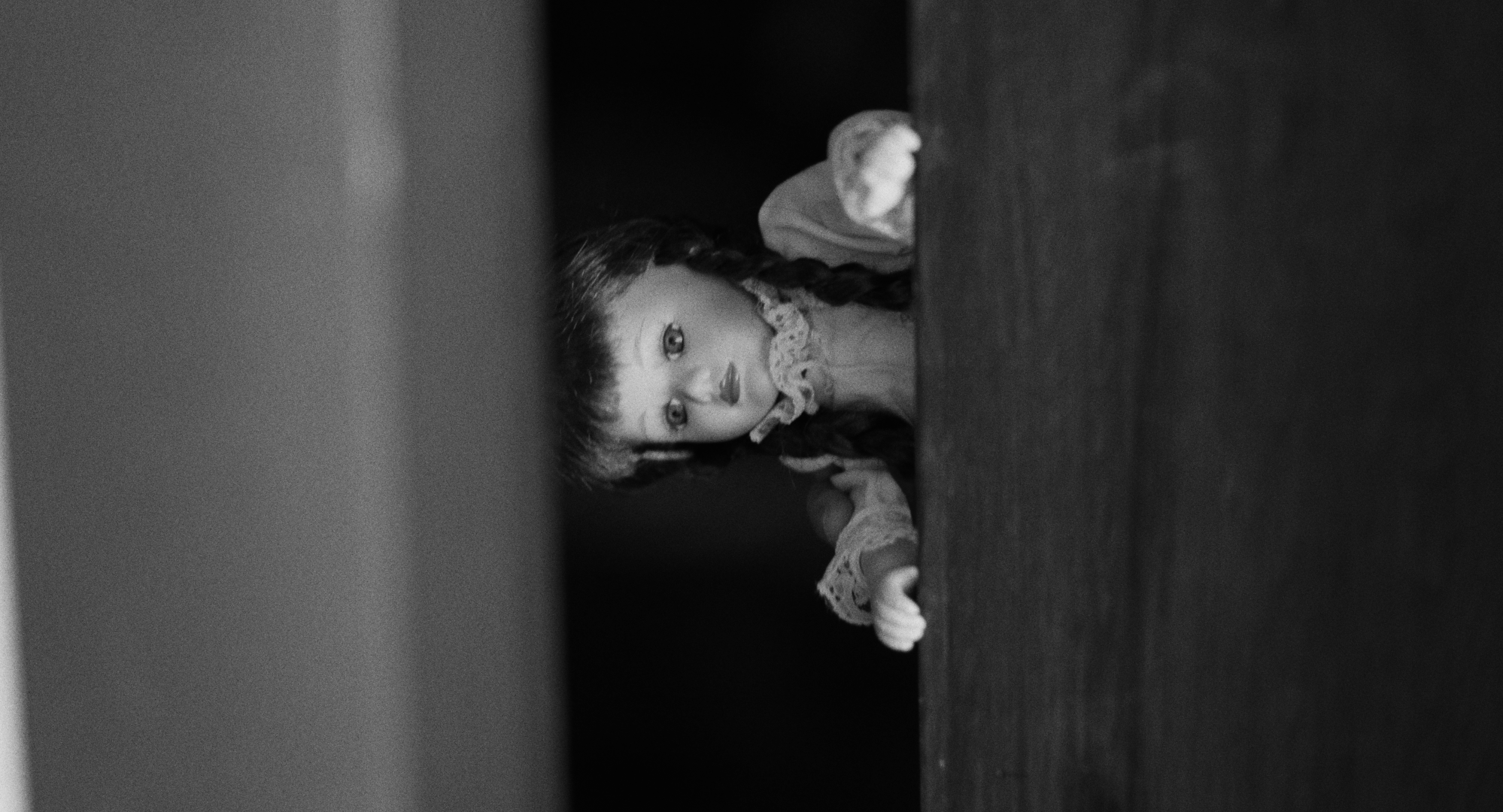 Still 2026-02-20 001221_1.36.1.T.png