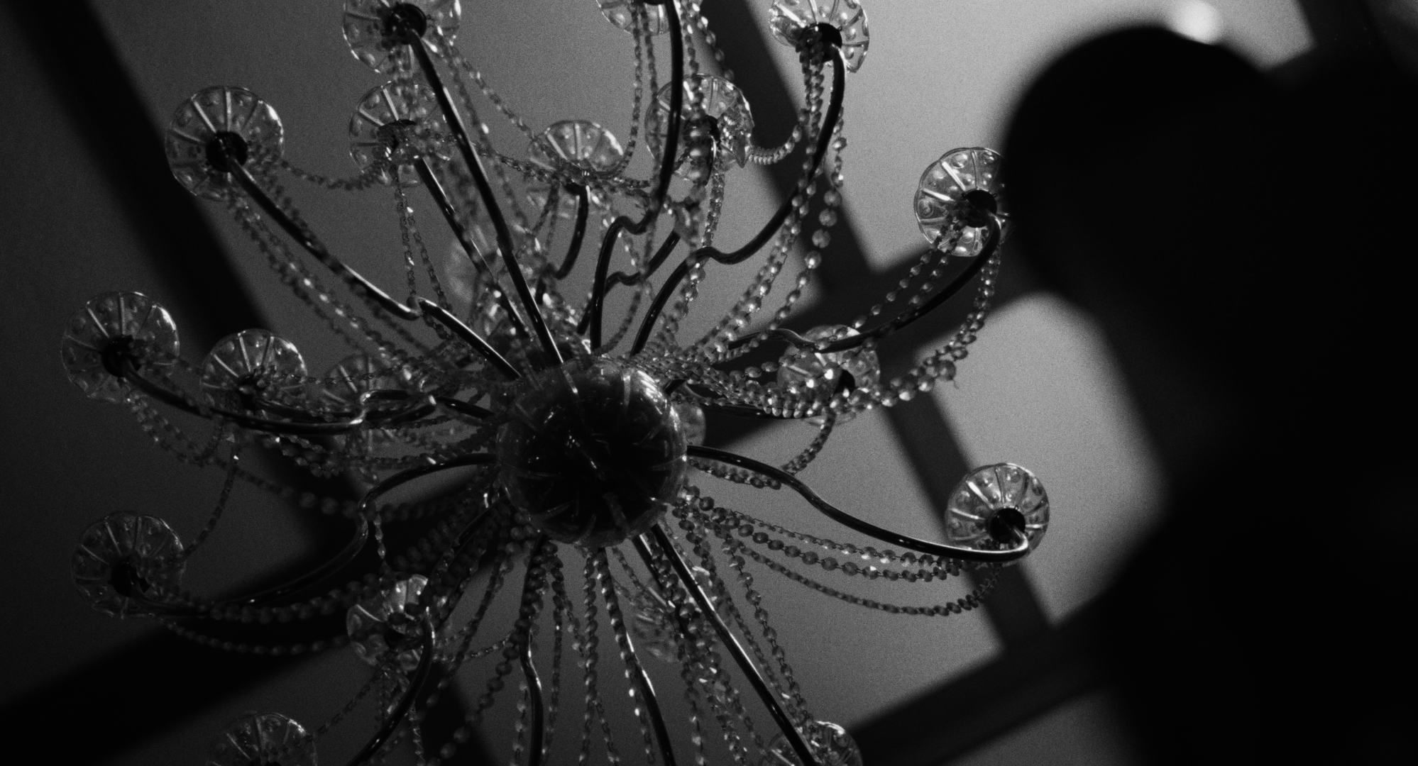 Still 2026-02-20 001221_1.4.1.T.png